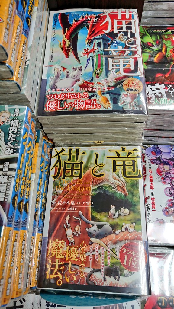 明正堂書店アトレ上野店コミックお知らせ 猫と竜 2巻 宝島社 漫画 佐々木泉 原作 アマラ 猫に育てられた伝説の竜 猫竜 と猫たちと人間の種族を越えた温かいファンタジー 表紙のカッコ良さすごい 1 2巻合わせて展開中です ひら