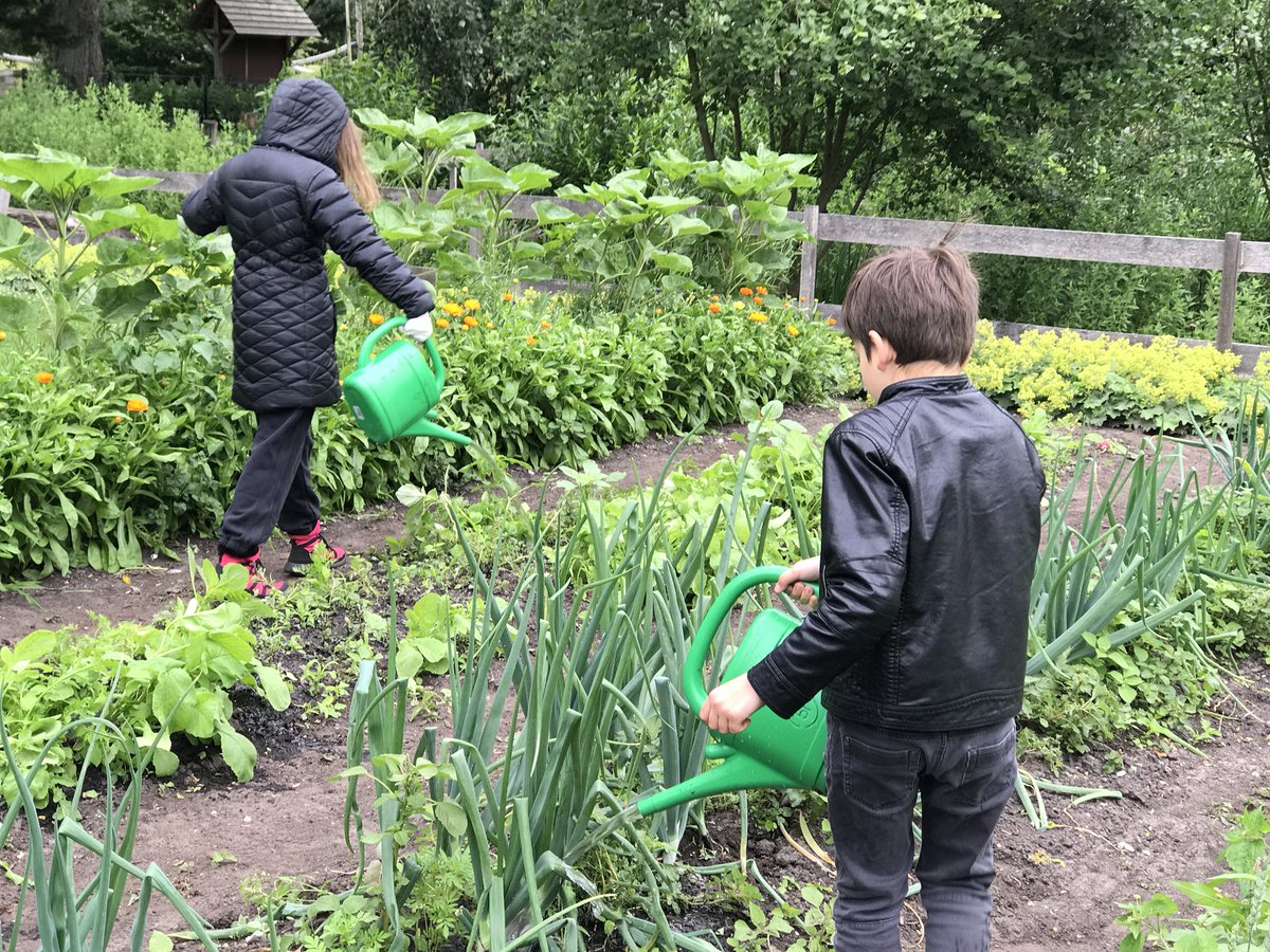 LSEClassR's tweet photo. Busy at the farm! But harvested onions and radish, so a good reward 😊 https://t.co/Fz30rQ07zT