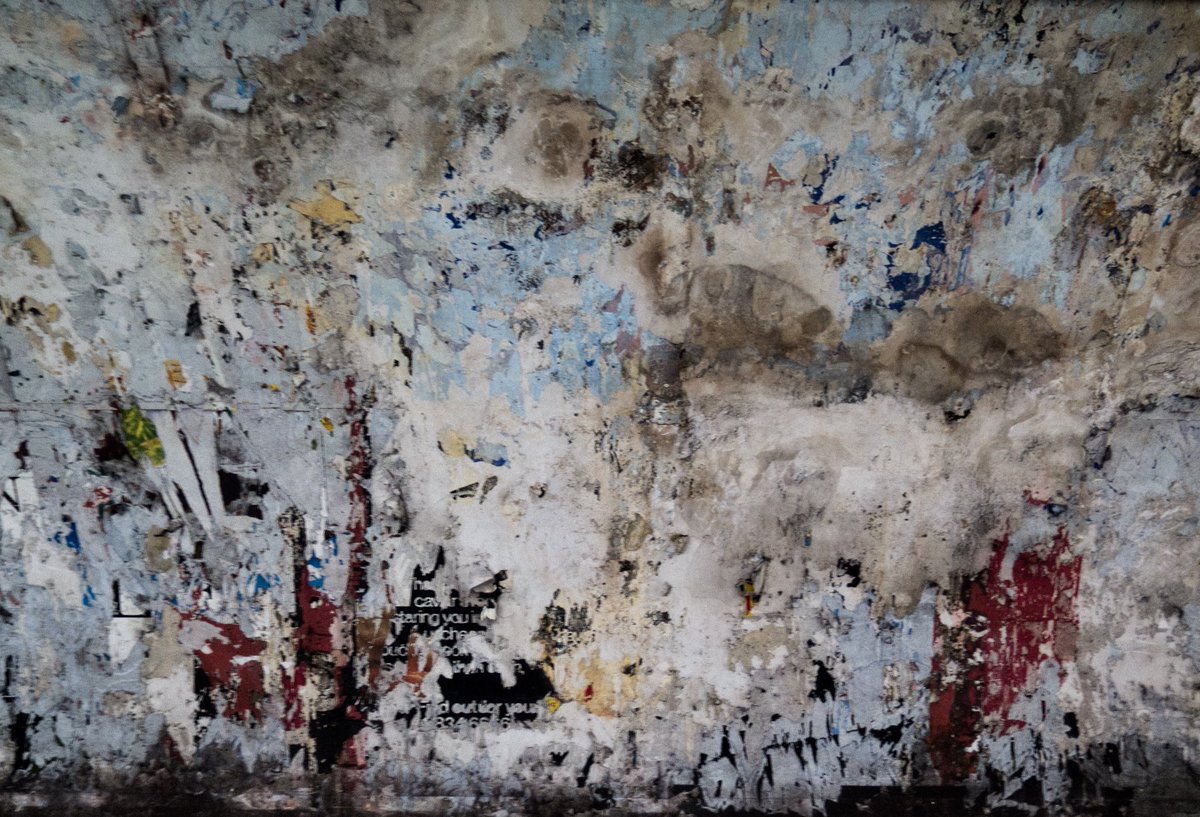 Matt Green tweet media