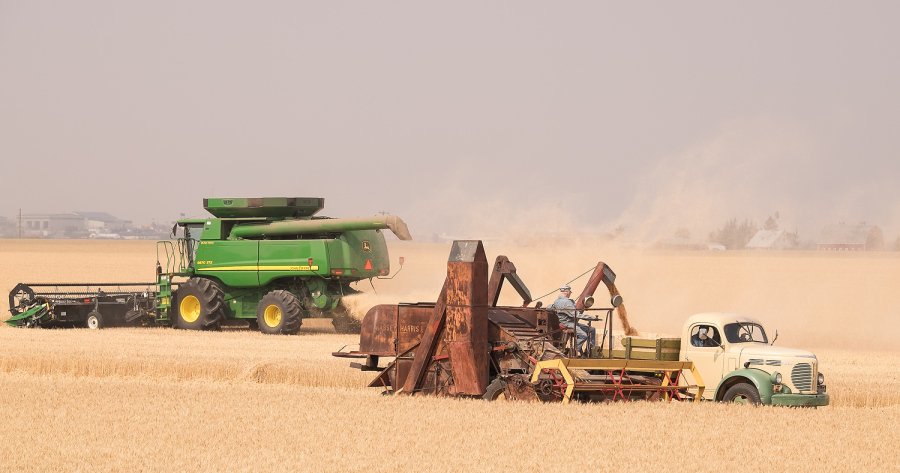 TimeAgro's tweet photo. HARVEST OLD AND NEW
1949 Massey Harris combine to harvest wheat🌾 near Grande Prairie, Canada🇨🇦
📆August 2014

#harvestcombine #harvestwheat #masseyharriscombine #oldcombine https://t.co/s5pPYULenk