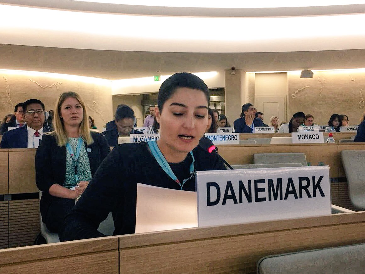 IdaPaetau's tweet photo. .@DKyouthdelegate @ChehriSarah at the #HRC38: Every day young women are prevented from using #ICT - we need engage them and trust that they are the experts in defining their barriers and designing solutions that will work for them to #ICTaccess!

@DKUNmisgva #UNYouth #HumanRights https://t.co/AqJGmaaR8a