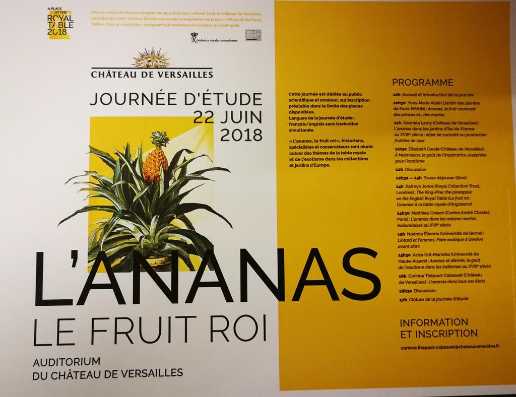 √ Faire Pousser Des Plantes Traduire En Anglais Mon Blog Jardinage