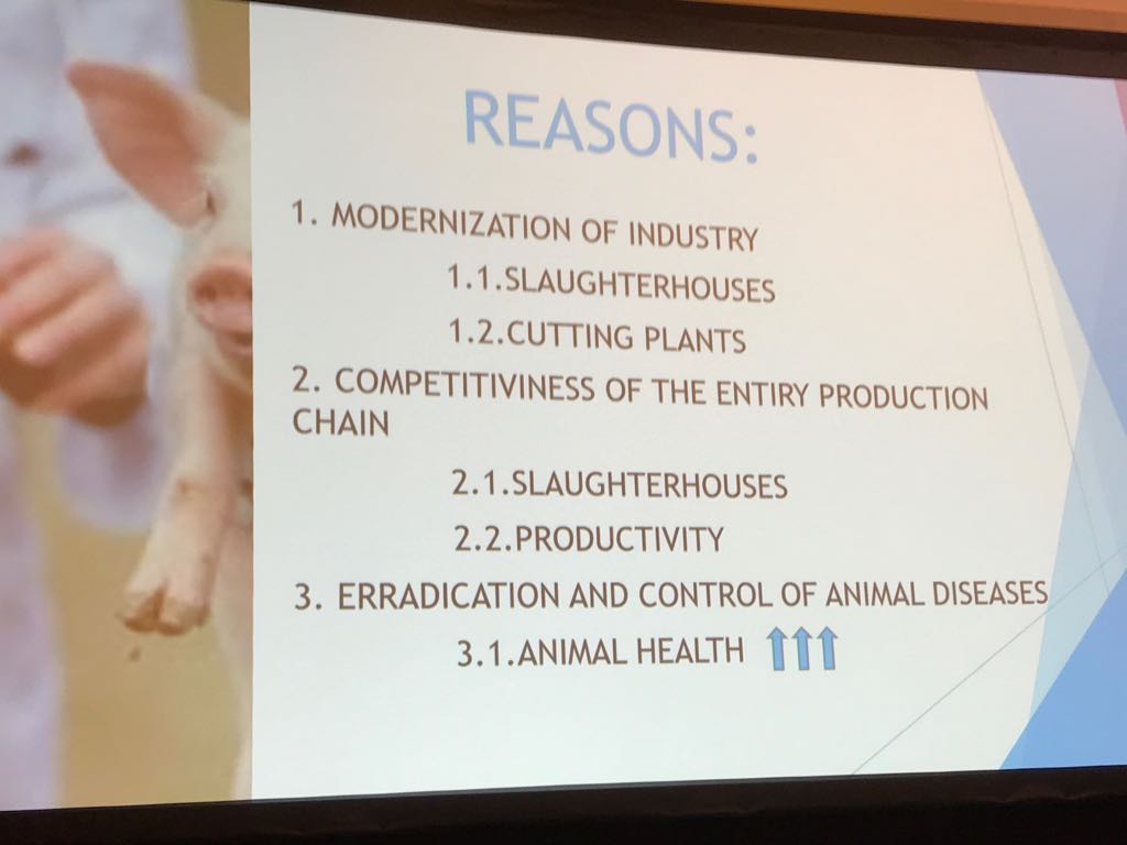 mganadero's tweet photo. Evolución del milagro español en la producción de #porcino: se exporta y a más países extra-UE.
@AnagrasaInfo #efprabarcelona2018 #efpra https://t.co/OvI3yV3dmT