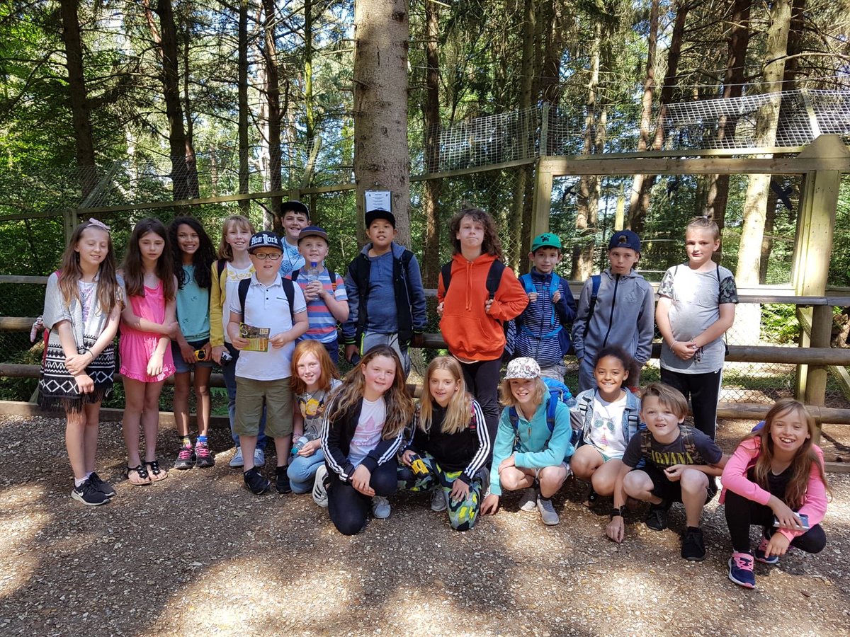 BushfieldTweets's tweet photo. Trying to find the elusive lynx at the New Forest Wildlife Park https://t.co/nZlPcpnx8V