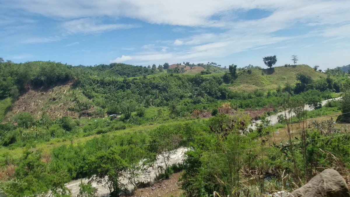 AniPortrait's tweet photo. Awesome green landscape!
#photo #love #like https://t.co/8JZFpFvoFA