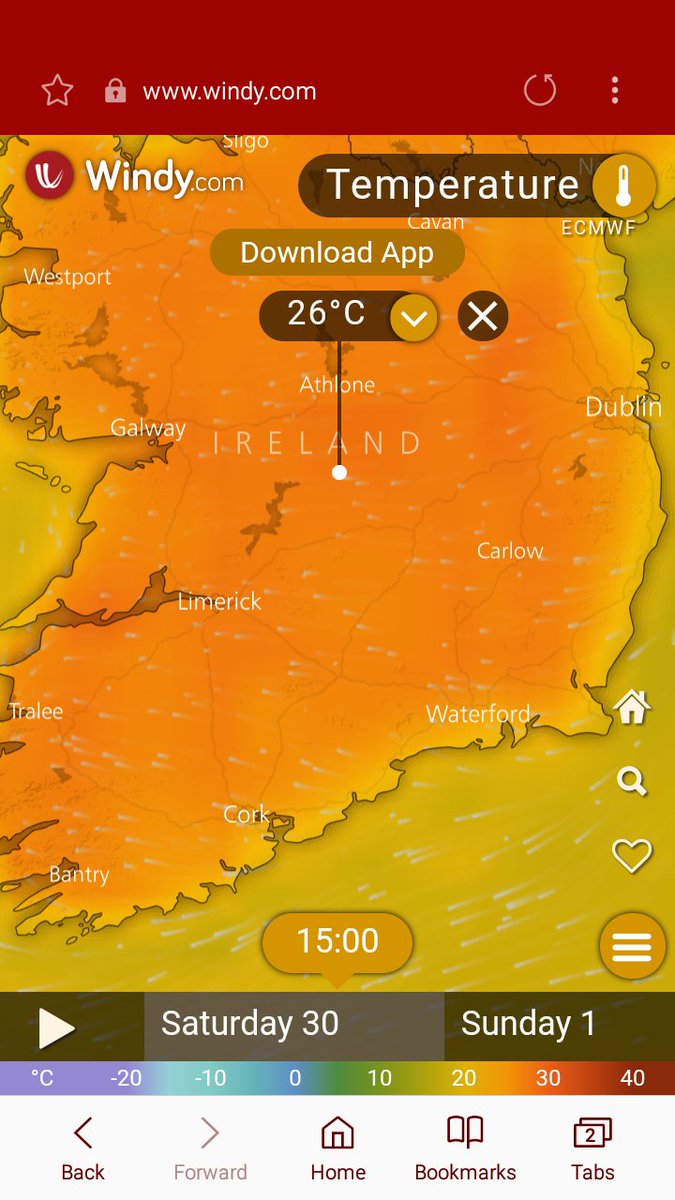 Nenagh CastleFest tweet media