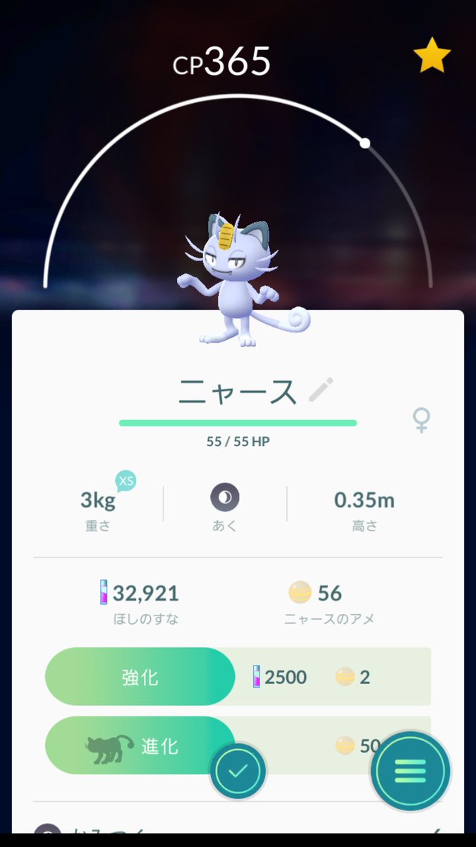 Mirage 7キロ卵からアローラニャースきた 進化の前後で顔の落差がひどいw ポケモンgo アローラ ニャース