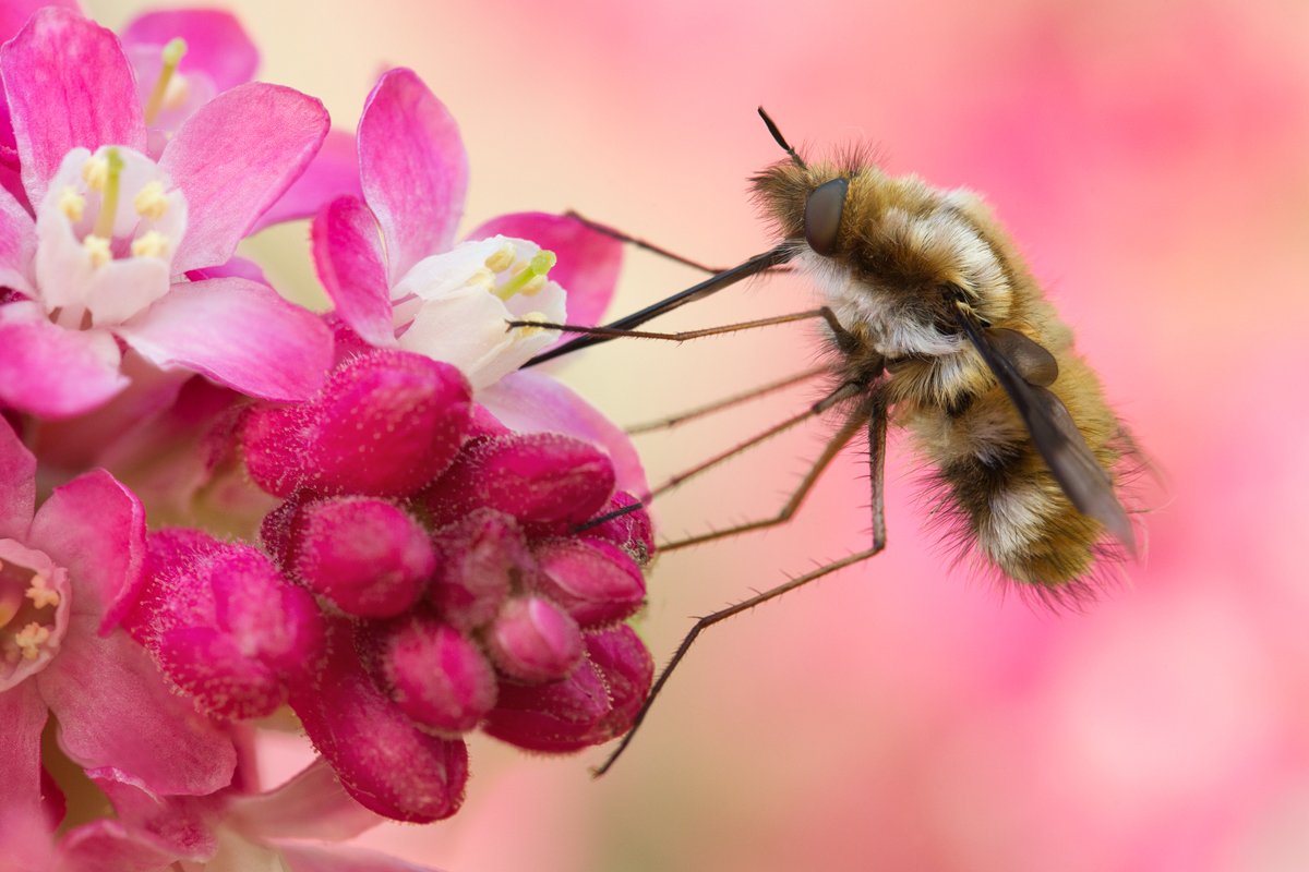 Matt Cole tweet media