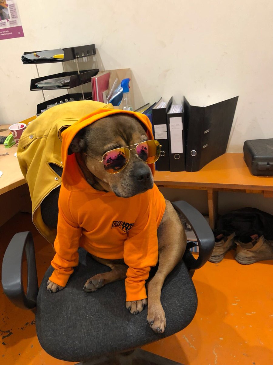 trax_hyper's tweet image. It’s #BringYourDogToWork Day!

So....meet the newest member of our team 🐶
Come down to Hyper-Trax with your dog any day of the week! 👍
