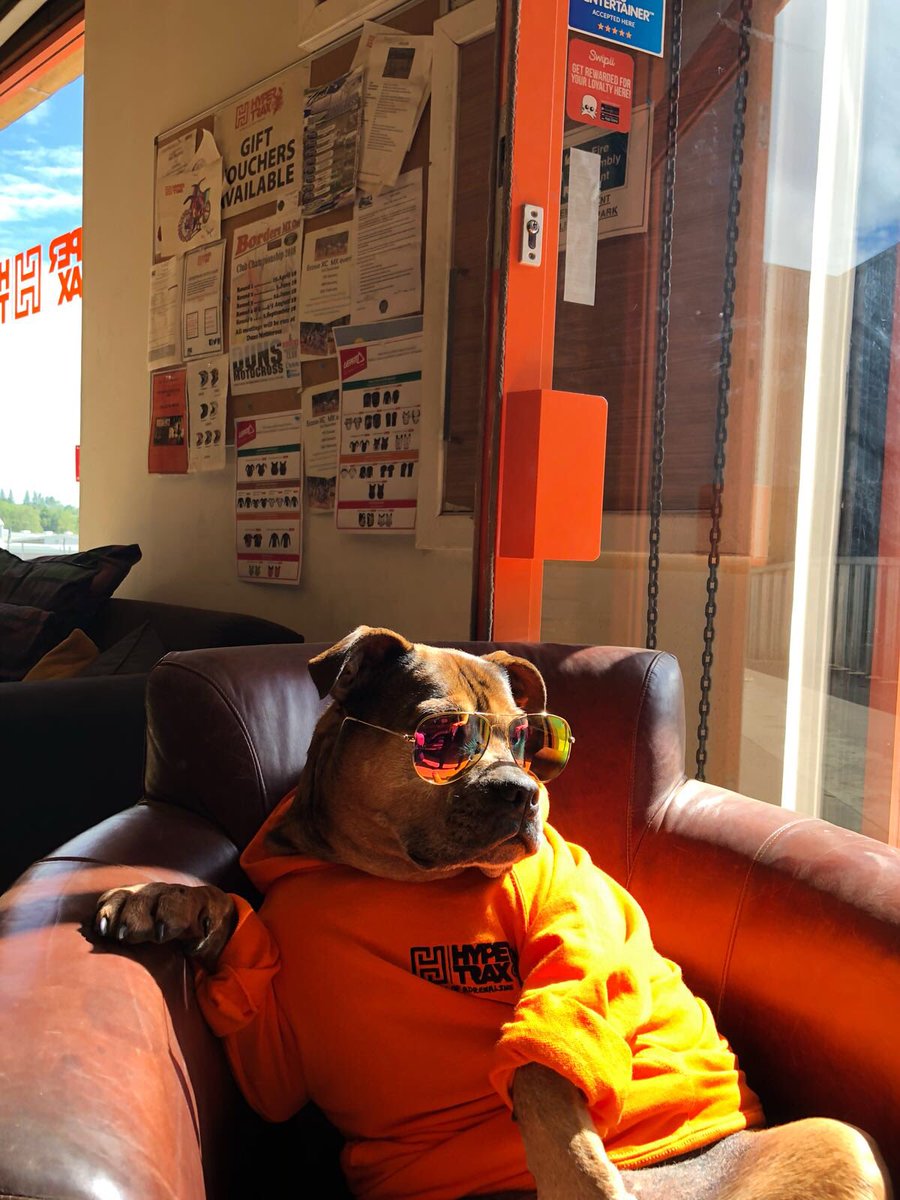trax_hyper's tweet image. It’s #BringYourDogToWork Day!

So....meet the newest member of our team 🐶
Come down to Hyper-Trax with your dog any day of the week! 👍