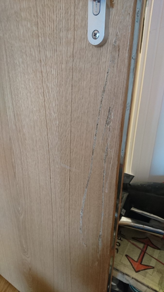 Surface_Restore's tweet photo. We repaired door what was about to be replaced- another happy customer #surfacerestore #surfacerestorerepairs #doorrepairs #damaged #door #happycustomer https://t.co/osvxwOPkPY