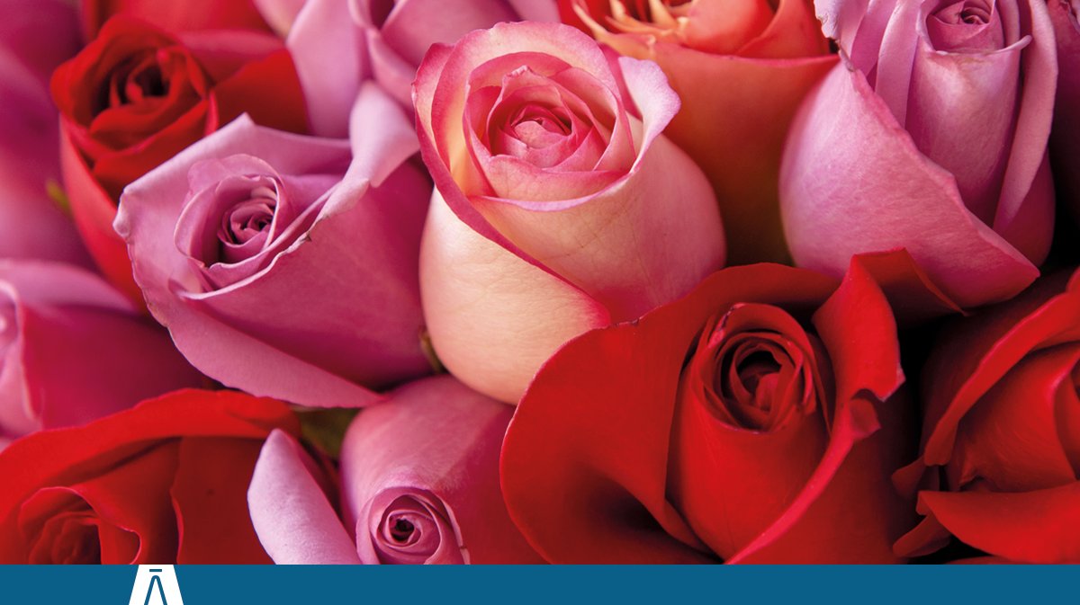 AltimaSF's tweet photo. Son muchas las culturas que llevan #flores a los difuntos. Es una bella #ofrenda al ser querido cuyos orígenes se remontan a la antigüedad. Siglos después, la tradición sigue viva con la posibilidad de encargarlas online  https://t.co/ohuYPC1tw5 #homenaje #ofrenda #flornatural https://t.co/ZdkpeyBFwR