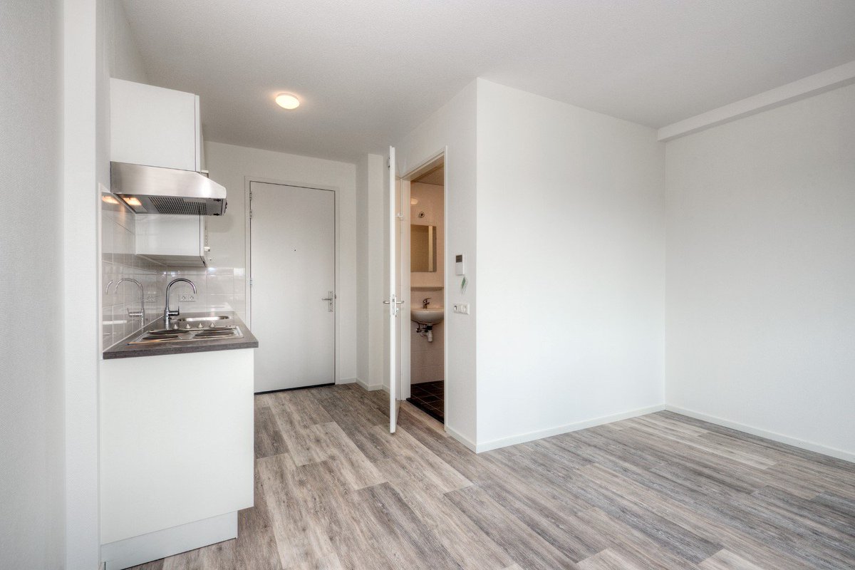 Holland2Stay's tweet photo. Now available for rent! Modern self-contained studios #QMStudios in The Hague next to Theresiastraat. Book now: https://t.co/8S8rky0wjw
.
#appartement #woonruimte #tehuur #denhaag #koninginmarialaan #huurwoning https://t.co/K2kPX90emV