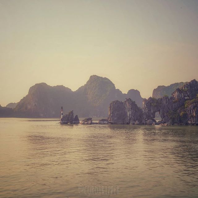 cordtripper's tweet photo. Sunset Over Ha Long Bay
....
....
....
#post455 #cordtripper #halongbay #vietnam #bay #water #sunset #scenic #giants #peaks #limestone #floating #asia #green #nature #monument #traveling #photography #travelphotography #travelpics #stamped #artofvisuals #exploringtheglobe #… https://t.co/wOmfAg6K9p
