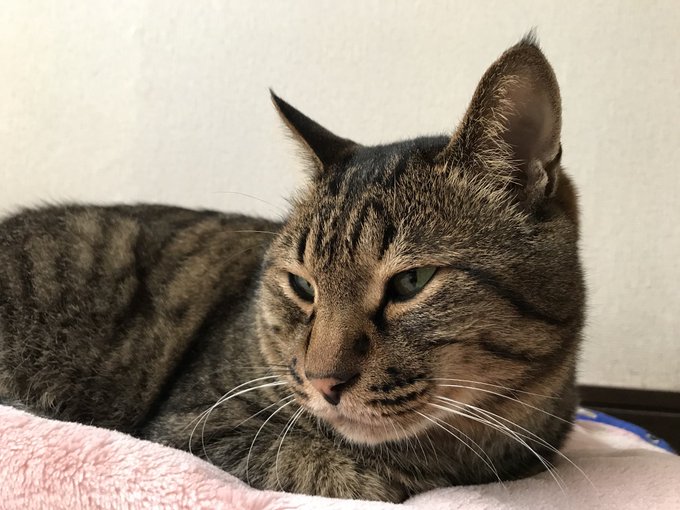 ソウル 高画質 のtwitterイラスト検索結果