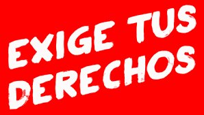 CCOOFSCJaén tweet media