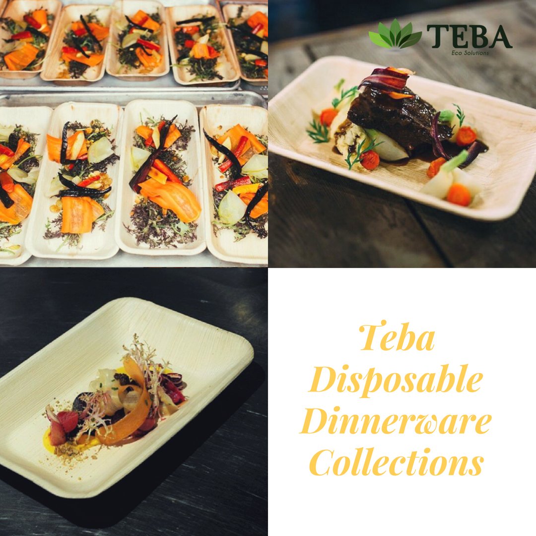 Tebaecoproducts's tweet photo. Buy our unique collection of disposable dinnerware. Serve your favorite dishes using these natural plates and bowls. Choose from Flipkart: https://t.co/XsJueahHLG 
Snapdeal: https://t.co/M0ikdXjcgt
#dinnerware #disposable #flipkart #shopping #natural #organic #plates #sale https://t.co/PPbqwfDKHf