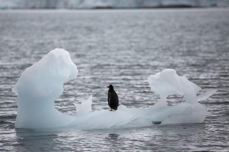 ReutersScience's tweet photo. Thaw of Antarctic ice lifts up land, might slow sea level rise https://t.co/hOw3y0G7lk https://t.co/fFZJ7ZdvXT