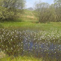 netwalkingscot's tweet photo. One week to go until our second #Netwalking #Scotland West walk in #DumbrockMuir and Mugdock. Sign up now! https://t.co/RKzwCBez3d #Business #Networking https://t.co/2omcjs7Uuo
