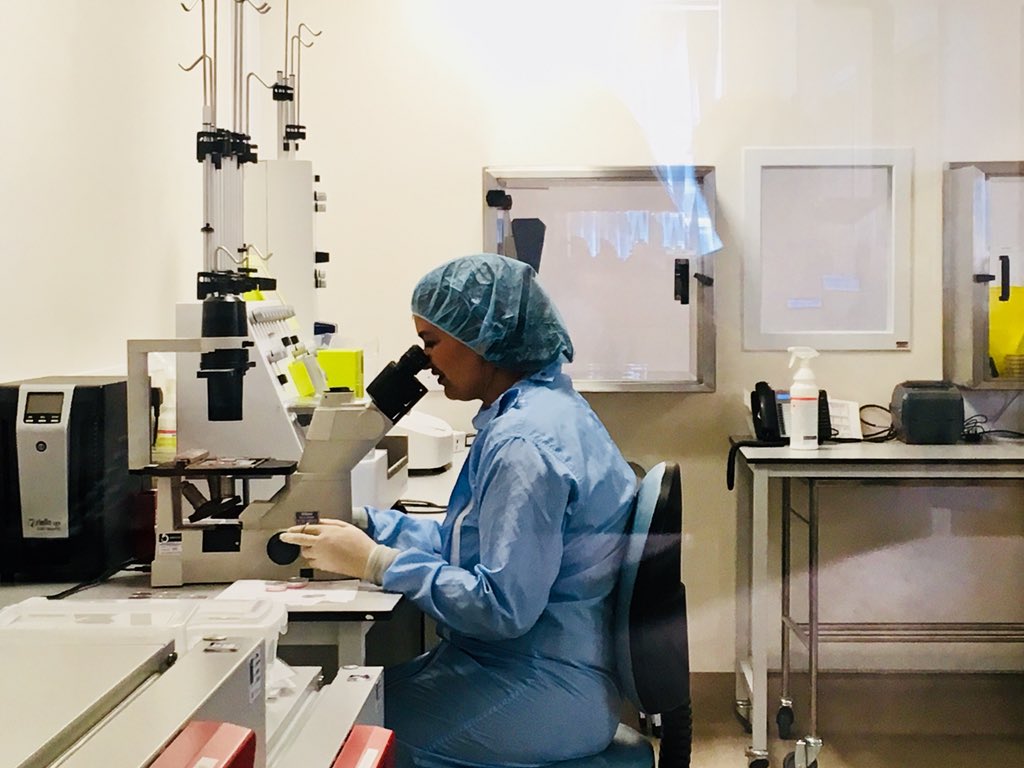 WendywooOgden's tweet photo. Another busy processing day in the Stem Cell Laboratory #teamstemcell #rmch @RMCHosp  @RMCHBMTU #microscopy #stemcells https://t.co/1YdOWokNYq