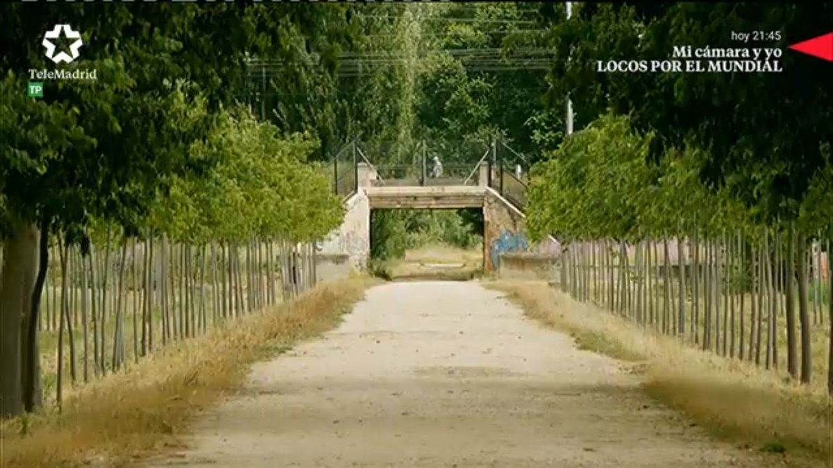 MundoMadridTM's tweet photo. Una forma distinta de conocer Aranjuez. Todo está conectado con el Palacio Real. @telemadrid #MundoMadrid95 https://t.co/hIsKrZaYX6 https://t.co/nJnjoZXCiw