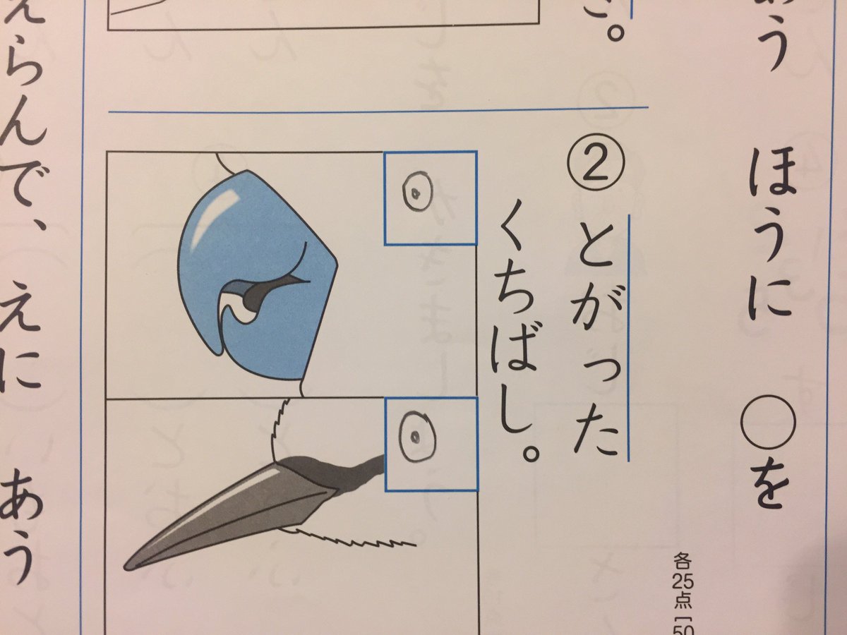 とがったくちばしに をつけなさい に対する息子の解答が2つの意味でハイセンス その内容に乗じてあの公式アカさんも登場 Togetter とがったくちばしに をつけなさい に対する息子の解答が2つの意味でハイセンス その内容に乗じてあの公式アカさんも登場 Togetter