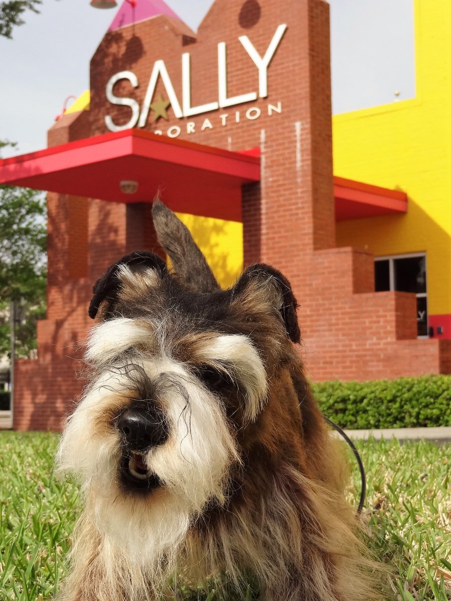SallyDarkRides's tweet photo. #TakeYourDogToWorkDay #onlyatSally #robot #dog https://t.co/S8Hs7LsP8h