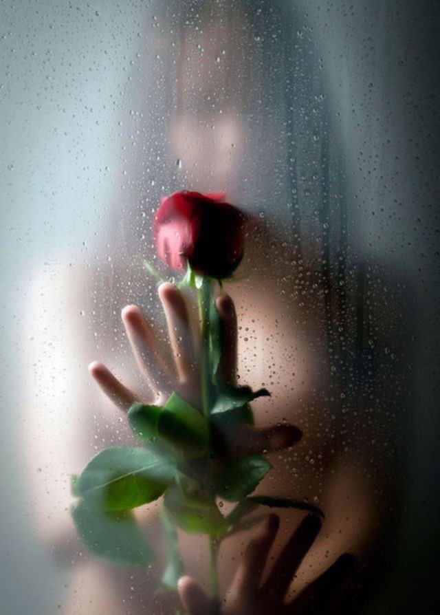 I will follow you,
my love,
to the edge of our days,
to our very last 
tomorrows ...

youtu.be/6RFkAc0Nbjs
#Atticus #poetry #love #music