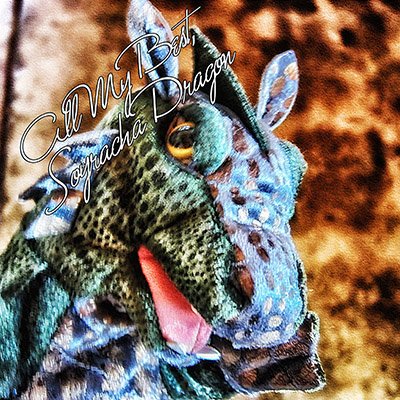 Dragon Fashion tweet media