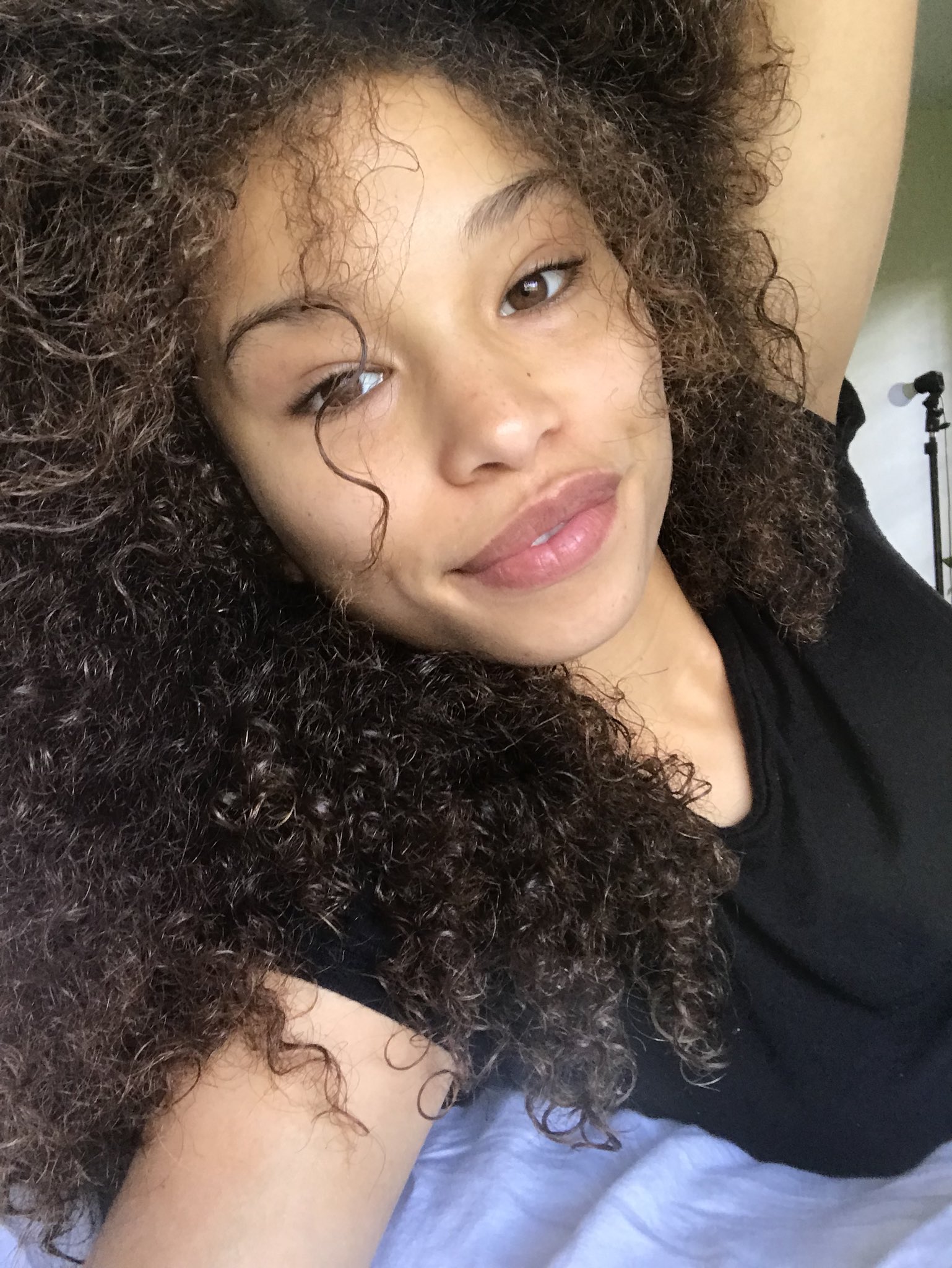 Cecilia Lion ® lóri Twitter: "My curls is poppin' today! 🤗 😍