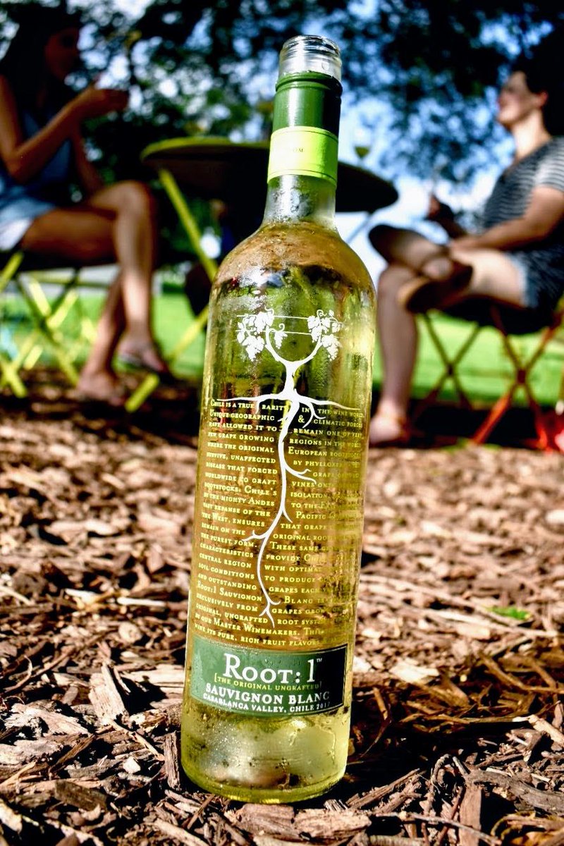 The world is yours to explore! Don't forget to bring your bottle of #Root1Wine along for the adventure this summer.
