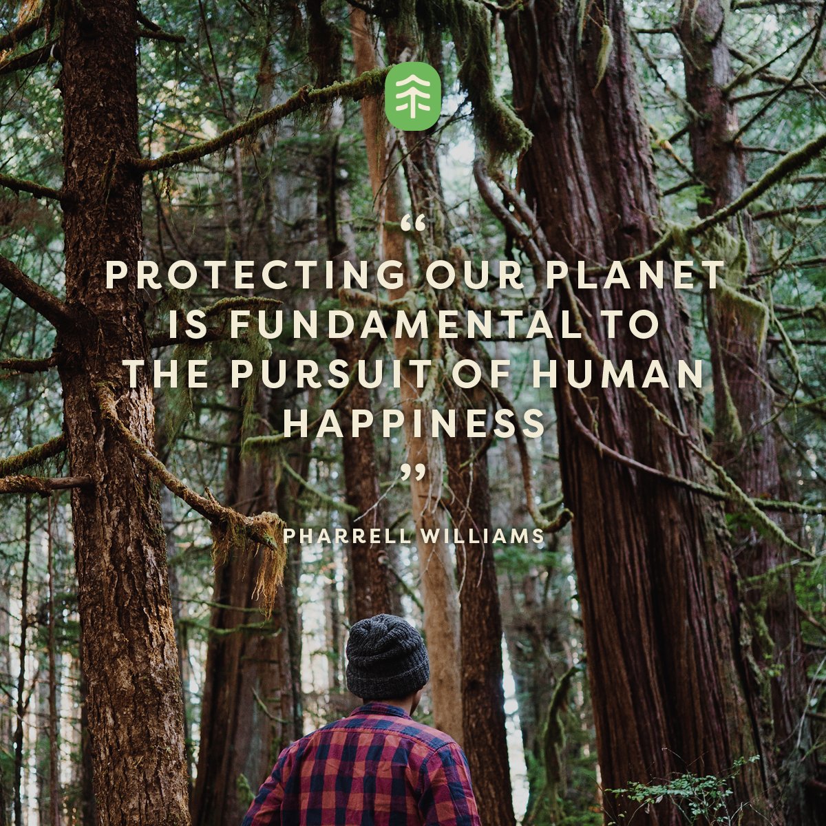 We've added 'plant trees' to our monthly routine and never looked back. 
Photo: @rockywanders