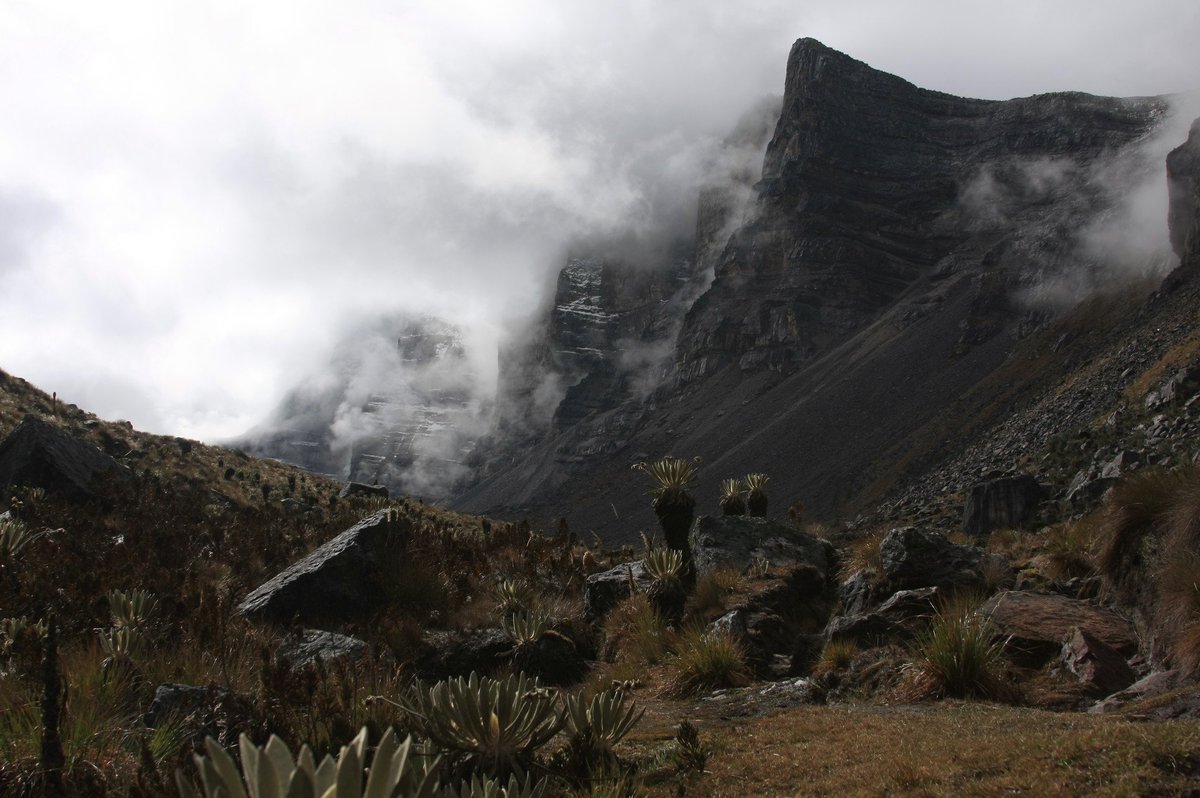 diegoandres_g's tweet photo. Colombia posee el 49% de área en paramos en el mundo y el 19 % de áreas de paramo en Colombia se encuentran en Boyacá. Defender el territorio de la explotación hace parte de construir un nuevo país. Primero el agua, primero la vida 👏 #BoyacaSinFracking https://t.co/aLoTnXpUGS