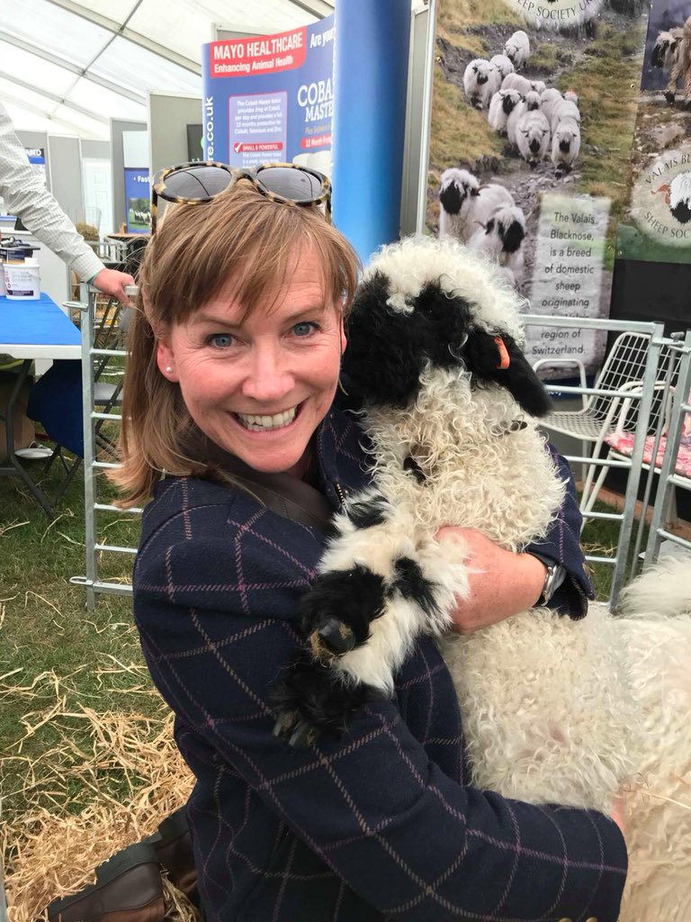arlenestuartuk's tweet image. We’re live from Ingliston tonight and we want to know what your guilty pleasure is at the Highland Show?  Here’s mine...a Valais Blacknose lamb. I want one!  Let us know using #BbcLandward and join us tonight at 7.30pm on BBC2 Scotland.