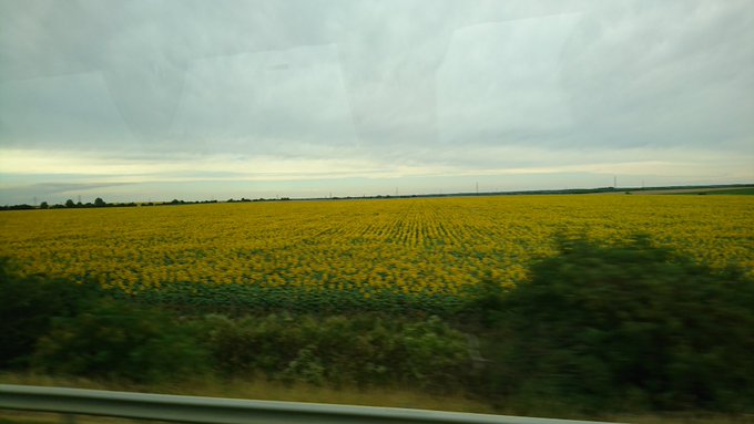 バスで移動してオーストリアはウィーンへ。ヨーロッパ11カ国目!
雨が降ってきたので宿に避難して写真整理でもするかな。かなり溜まってるし。 