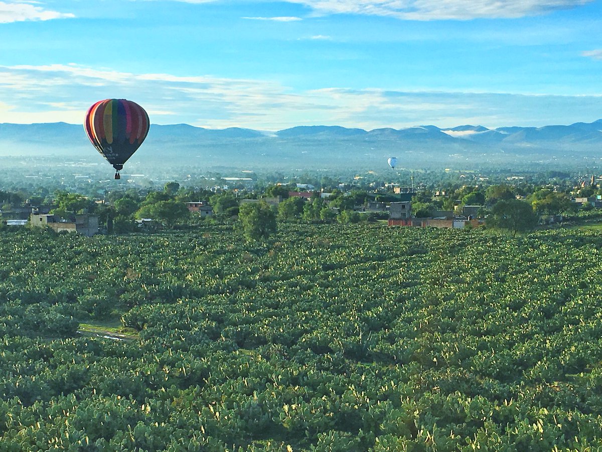 saiirene's tweet photo. Hoy tuvimos la oportunidad de llevar a cabo un viaje en globo a 10,000 pies de altura. Un cielo despejado y unas vistas maravillosas nos acompañaron en todo momento #VolareGlobos #FlyVolare Checa 👇🏻
https://t.co/BMVxC5CNBT https://t.co/7DsI9fmCY9