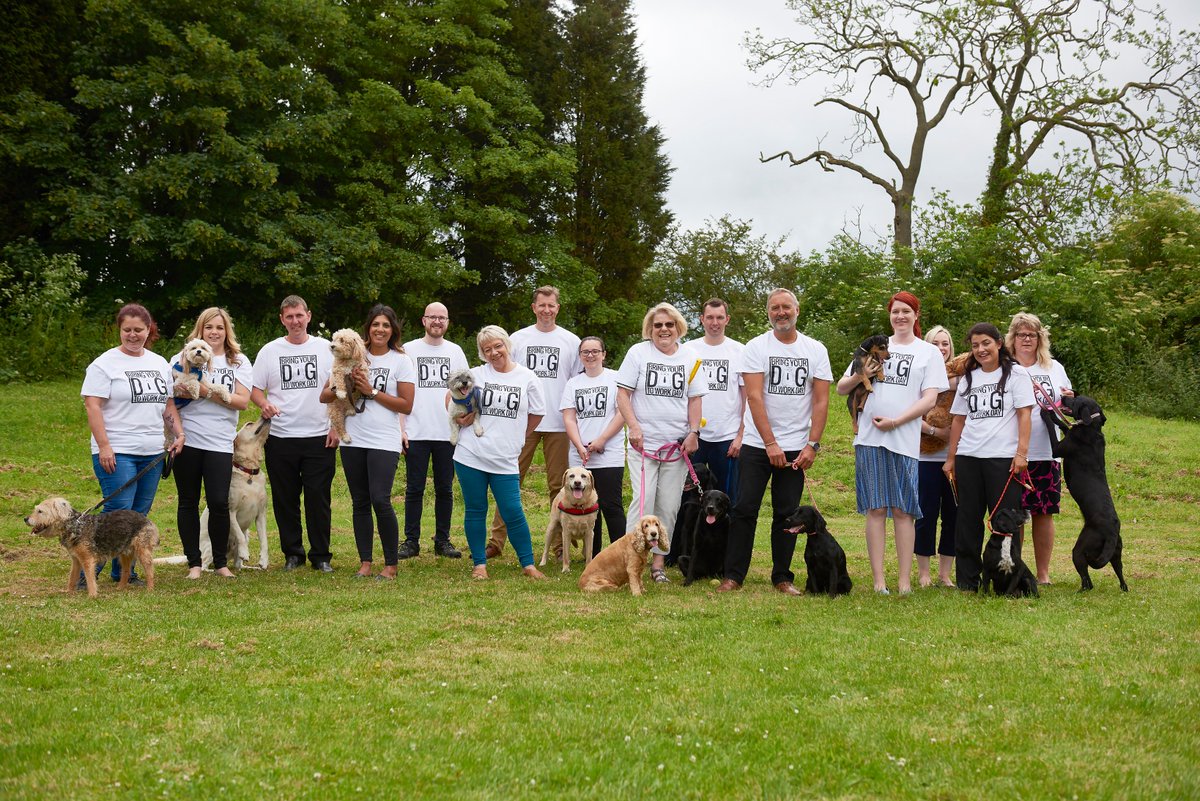 Fish4Dogs's tweet photo. Lunchtime at @Fish4Dogs ... Today all staff sported ‘tour’ T-shirts with the name of their canine pals to raise awareness of the charity @AllDogsMatter All of the dogs have enjoyed extended play time, belly rubs &amp; fishy treats. #BringYourDogToWorkDay  #TakeYourDogToWorkDay https://t.co/qcBfUbk5Kl