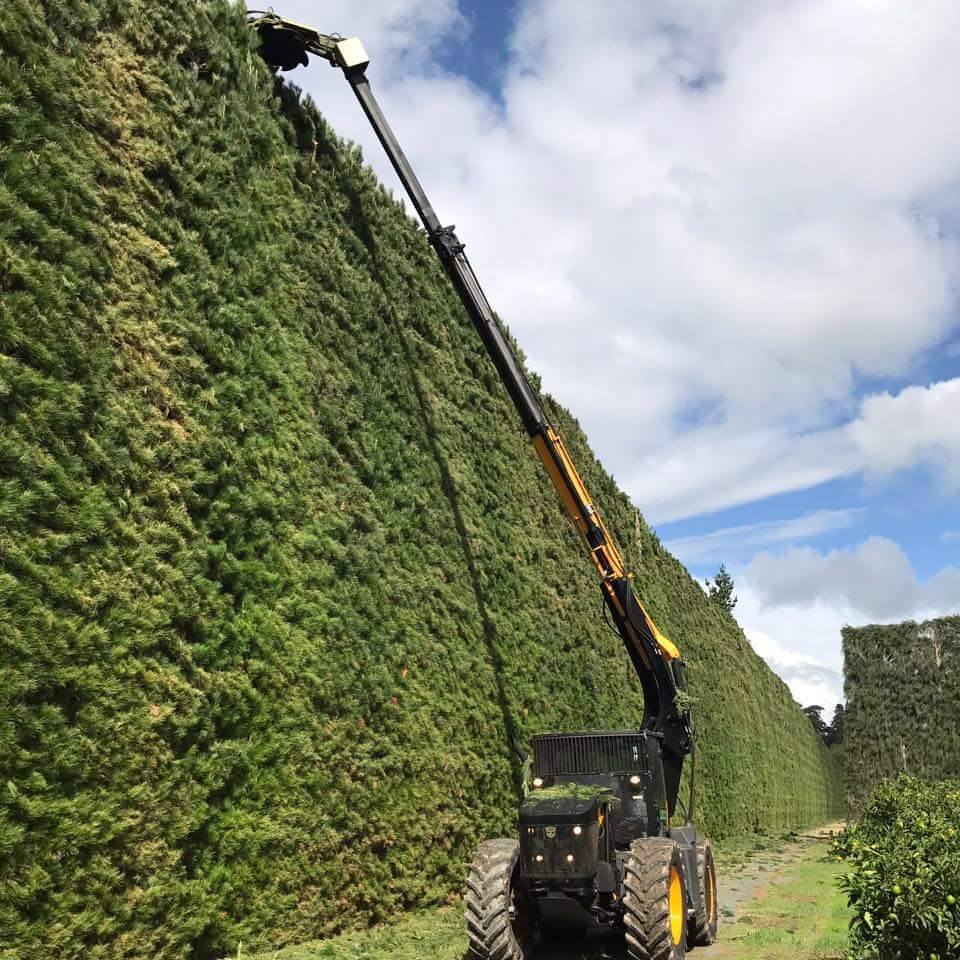 JCBagriculture's tweet photo. Amazing images coming in from New Zealand! A JCB Fastrac 4220, modified to trim shelterbelt. With a cutting reach of over 60ft, this unit can tackle the toughest of jobs. The machine is operating in Auckland regions, so keep your distance if you see it in action! #FastracFriday https://t.co/IBPJR8bdVj