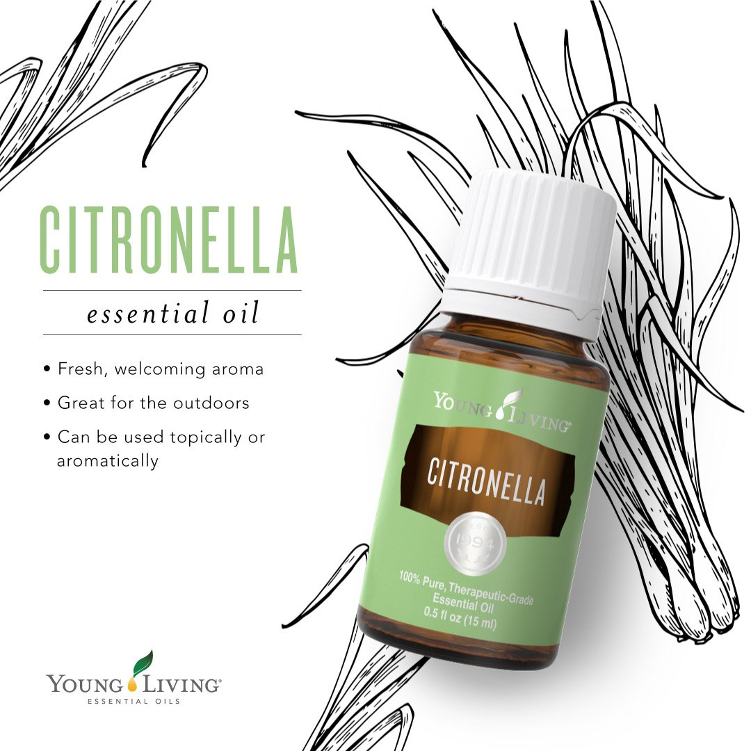 youngliving's tweet photo. Apply #Citronella topically to refresh and moisturize skin. 💚 #YLTip #yleo https://t.co/k6Kc9Uh7Ey