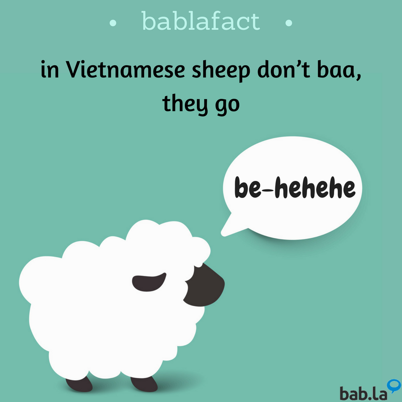 babla's tweet photo. Be-hehehe! What noise do sheep make in your language? #BablaFact https://t.co/wOR9np3n2f