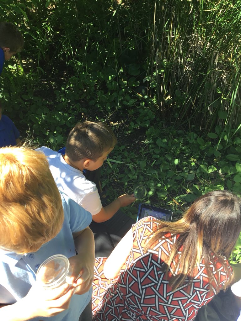 Y2BeechClass's tweet photo. We are exploring the wildlife garden, in the search for micro-habitats and the things living there! #science #year2 https://t.co/UU3nJKdg9M