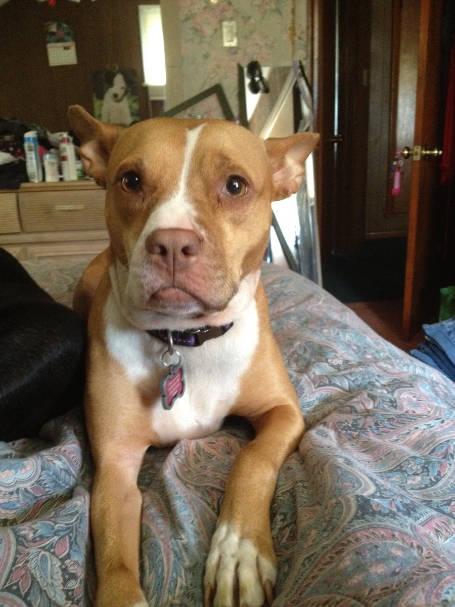 Ashley Nicole⚡️ tweet media