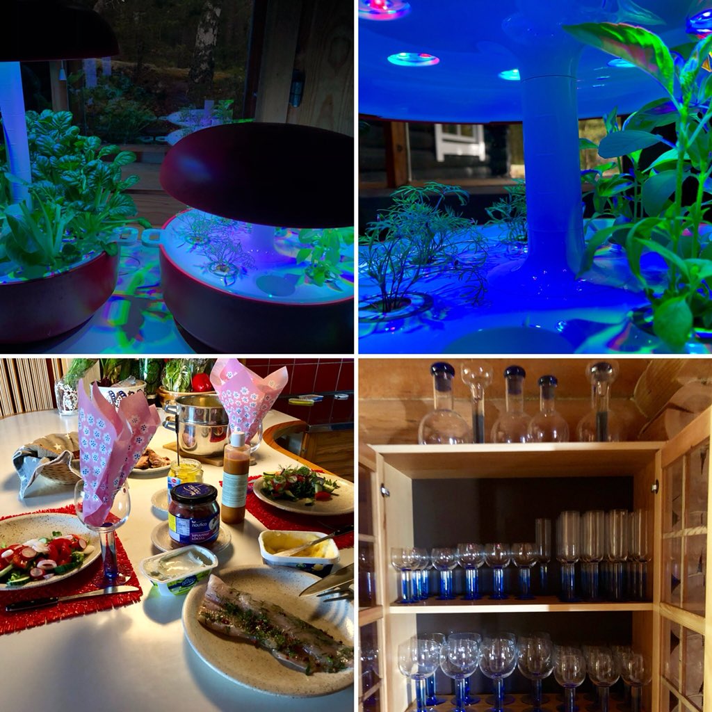 PlantuiOfficial's tweet photo. Iloista juhannusta. Glad Johanne. Happy Midsummer - the sun always shines in a Plantui Smart Garden โบ๏ธ
#dill #basillemon #pokchoy #homefarming #designfromfinland ๐ซ๐ฎ https://t.co/hgyvQXR8k5