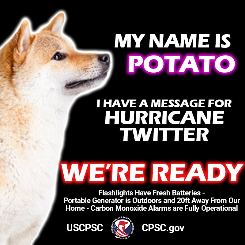 A picture of a dog named Potato. The text reads: My name is Potato. I have a message for hurricane twitter. We're ready. Flashlights have fresh batteries. Portable Generators are outdoors and 20ft away from our home. Carbon monoxide alarms are fully operational.
