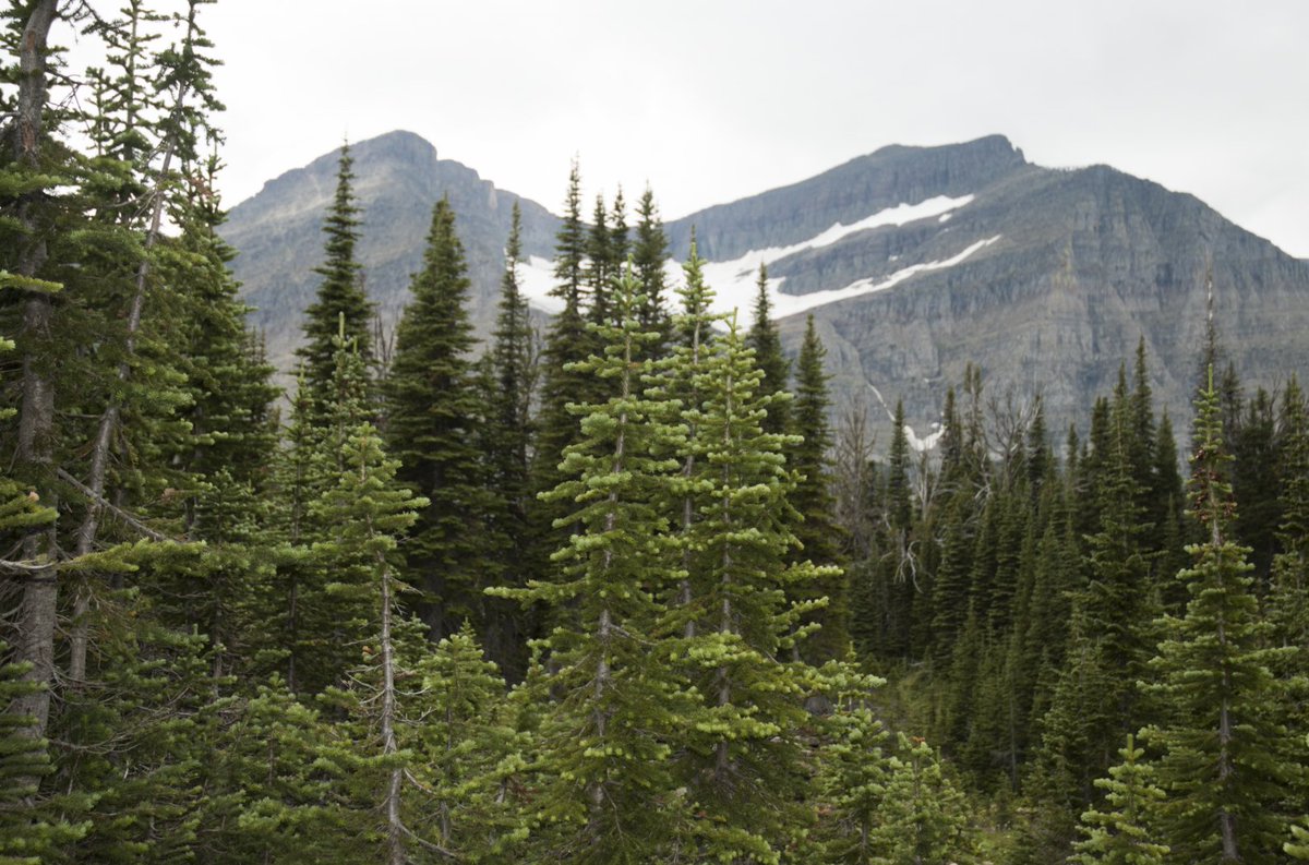 FotoWeekDC's tweet image. Check out the #SeeChangeUSEU with @EUintheUS photo exhibition marking the changes that our National Parks have been going through. Visual storytelling at its best #ClimaDiplo Details: goo.gl/HAebpZ Image by: L. Bengtson