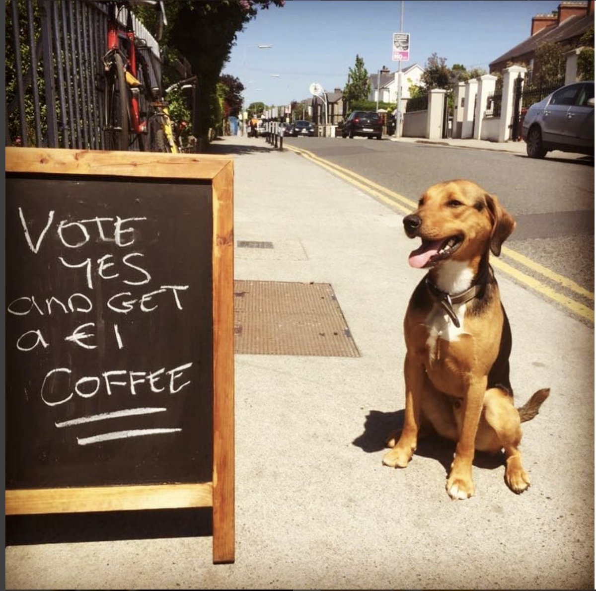 Every day is #DogFriendlyIrelandDay in Fuel Food 🐶 
In fact, we are listed on <a href="/packthepooch/">Pack the Pooch</a> as a doggo friendly cafe!

#fuelfood #dogfriendly #Clontarf
