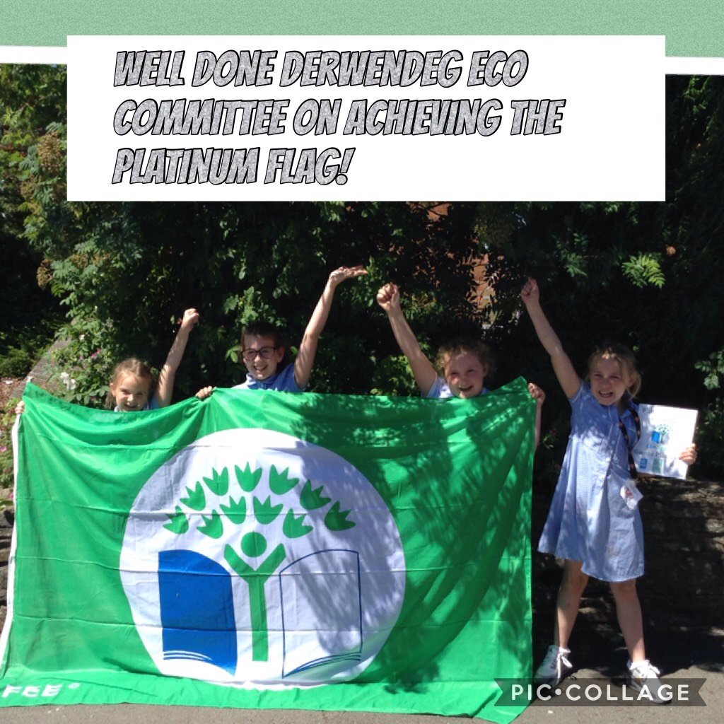 DerwendegSchool's tweet photo. Well Done derwendeg Eco committee on achieving the platinum flag! #piccollage https://t.co/ZJWhgJVlpo https://t.co/Ef5XadZ4Nr