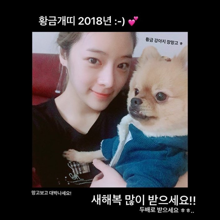oahsisthetic's tweet photo. It's Choco day? It's meme-pictures maker day! Have a loveliest birthday to you! (/▽＼*)｡o○♡

tb to MIXNINE era when she uploaded these reactions pictures edited by herself hahaha cute! 

#HappyChohyeonDay #ChoChoDay https://t.co/kxh6FJxruB