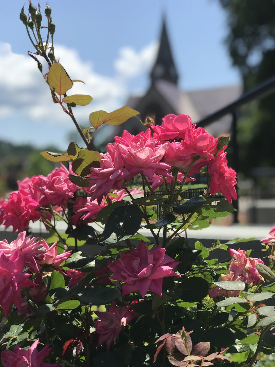 UMassAmherst's tweet photo. Those second-day-of-summer vibes have us feeling pretty good. ☀️ https://t.co/T6fdLWgq6R