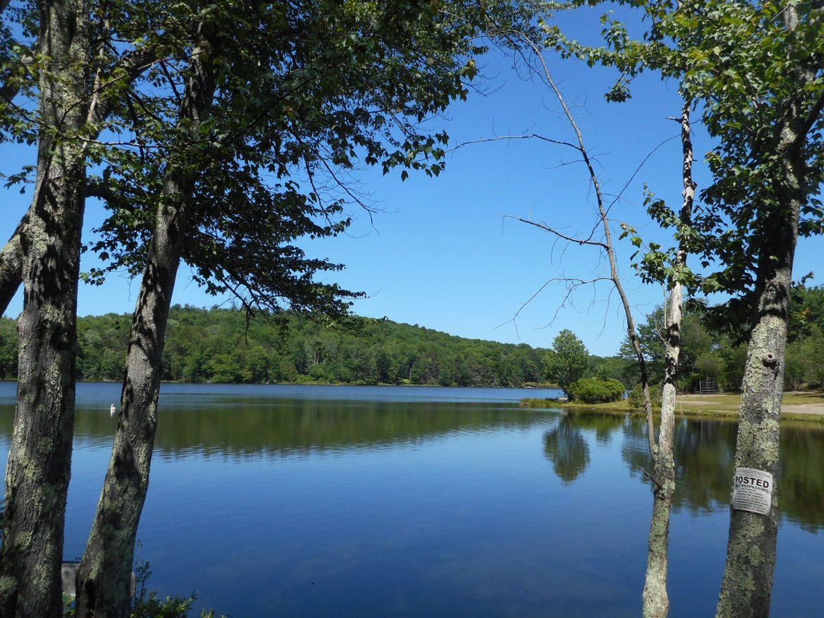 DominickTufano's tweet image. OPEN HOUSE SUNDAY JUNE 24, 12PM - 2PM  rem.ax/2yARX7q
#lakeaccess #forsale #OpenHouse #bethelny #smallwoodny #sullivancounty #sellingagent #tufanosellshomes #realestate #HouseHunters #bethelwoods